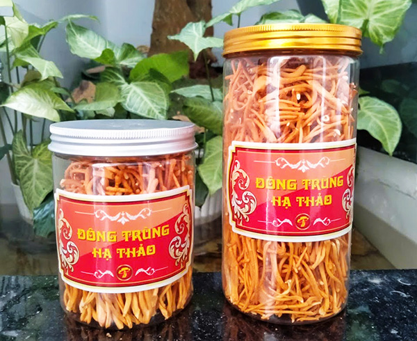 Đông trùng hạ thảo sấy thăng hoa